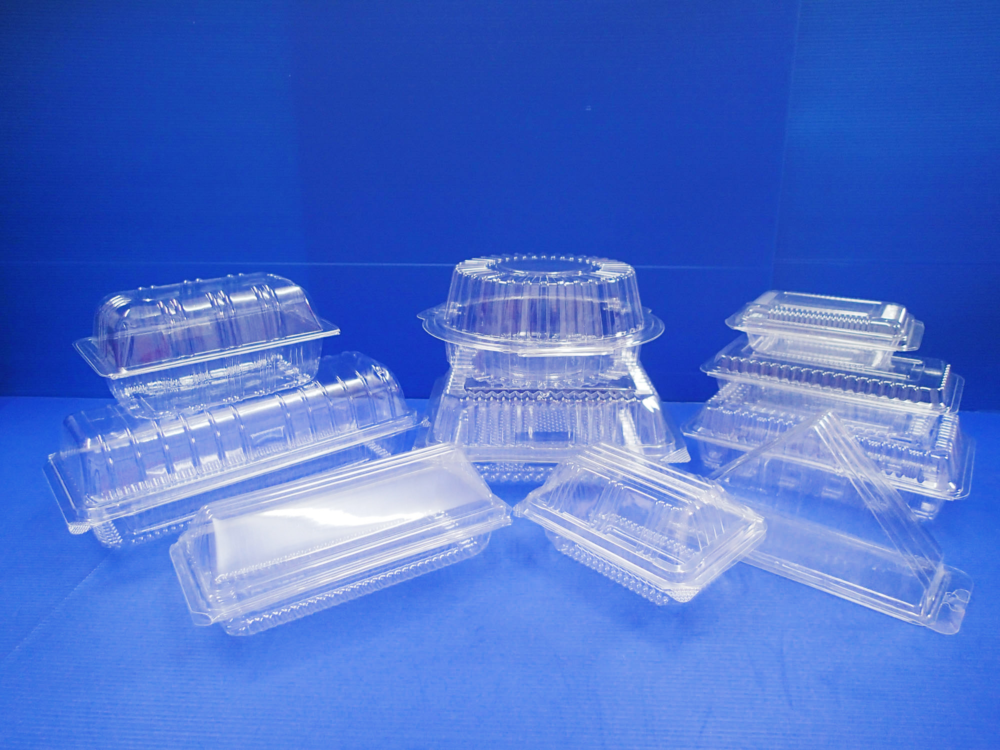 53607ddcebc442547500038c_B2-OPS-Clear-Trays-with-Lid-1.jpg