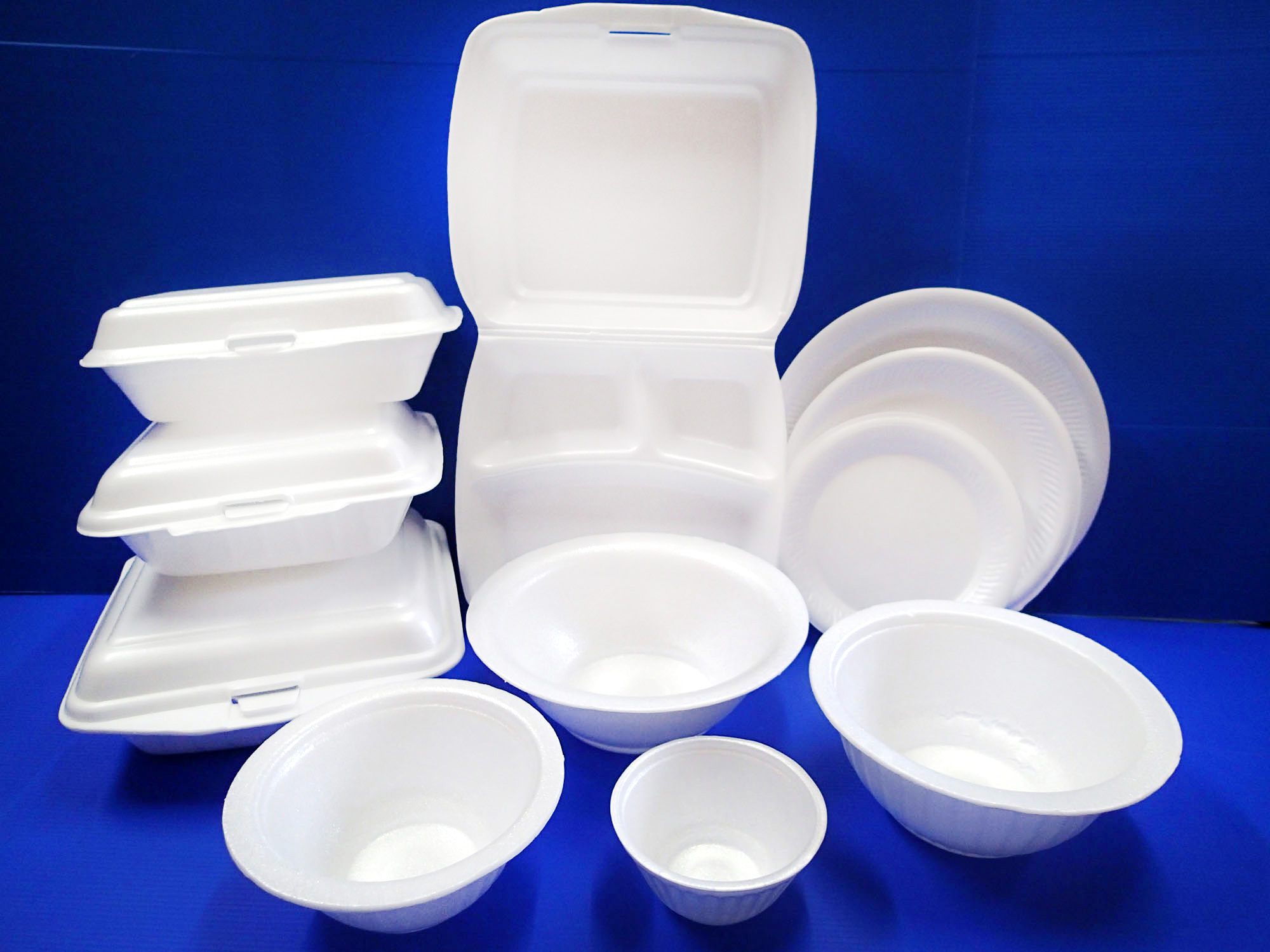 53607db0ed84385075000373_B3-Foam-Boxes%2C-Plates-%26-Bowls-1.jpg