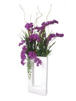 54b607bd5fd9ff7a2d664e73_orchid-1.jpg