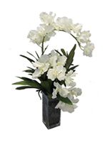 54b607f07f72257c2dde535c_orchid-5.jpg