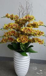 54b60dd2957a1fa46875e6e6_vase-1.jpg