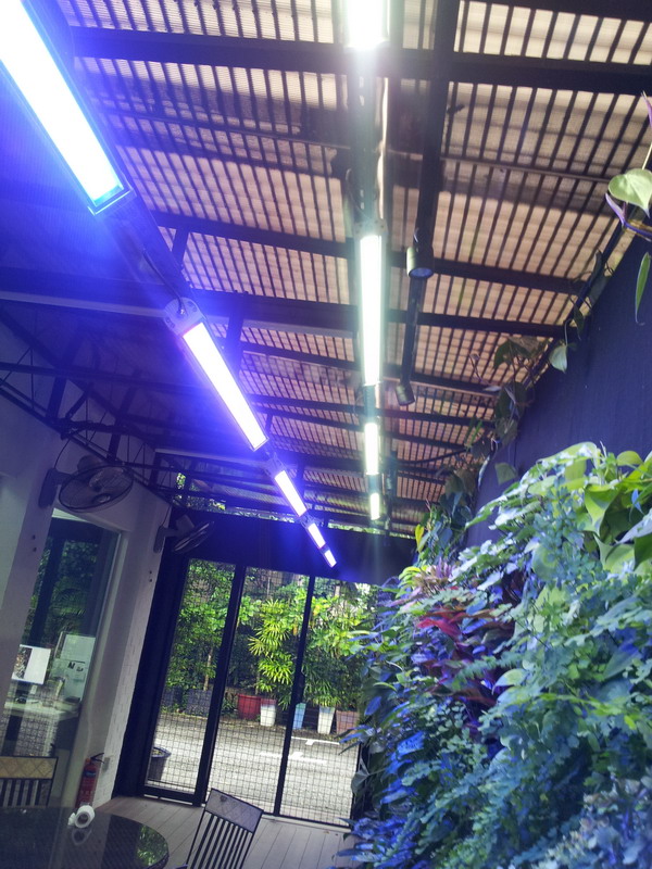 54cc5218537ce6885437ef89_Grow_Light-2.jpg
