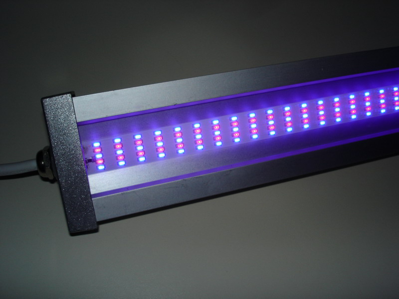 54cc51c428a7083428c918a4_Grow_Light_-1.jpg