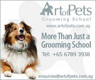 Art of Pets Grooming School