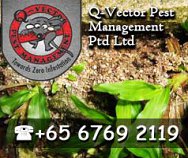 Q-vector Pest Management Pte Ltd