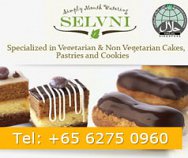 Selvni Pte Ltd