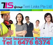 Terri Links Pte Ltd