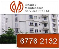 Cleanex Maintenance Services Pte Ltd