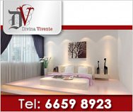 Divina Vivente Pte Ltd