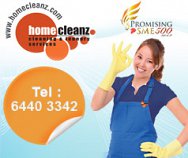 Home Cleanz Cleaning Services