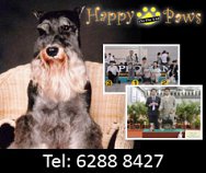 Happy Paws (S) Pte Ltd