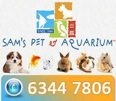 Sam's Pet & Aquarium Pte Ltd Photos