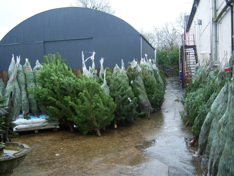 Wild Bird Food Shop Northern Ireland in Ireland United Kingdom