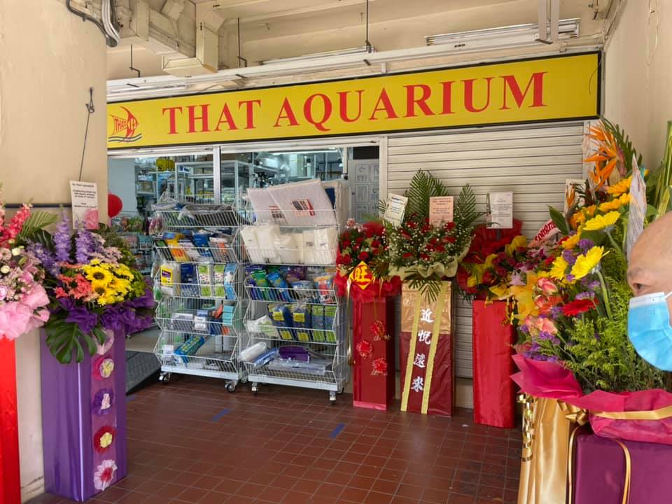 That Aquarium HDB Yishun