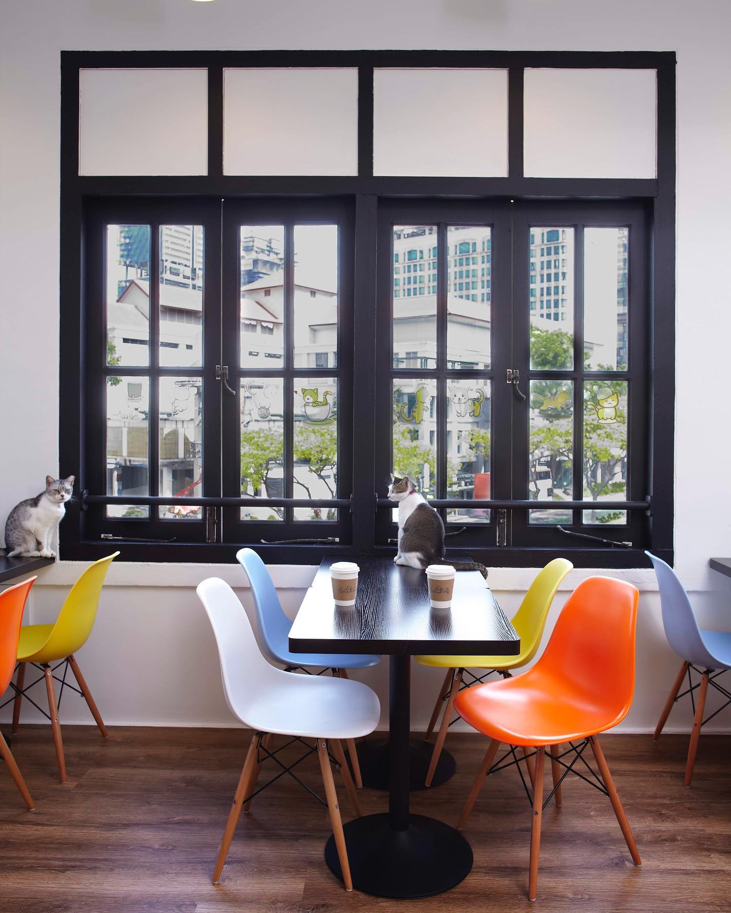 The Cat Cafe Bugis Village