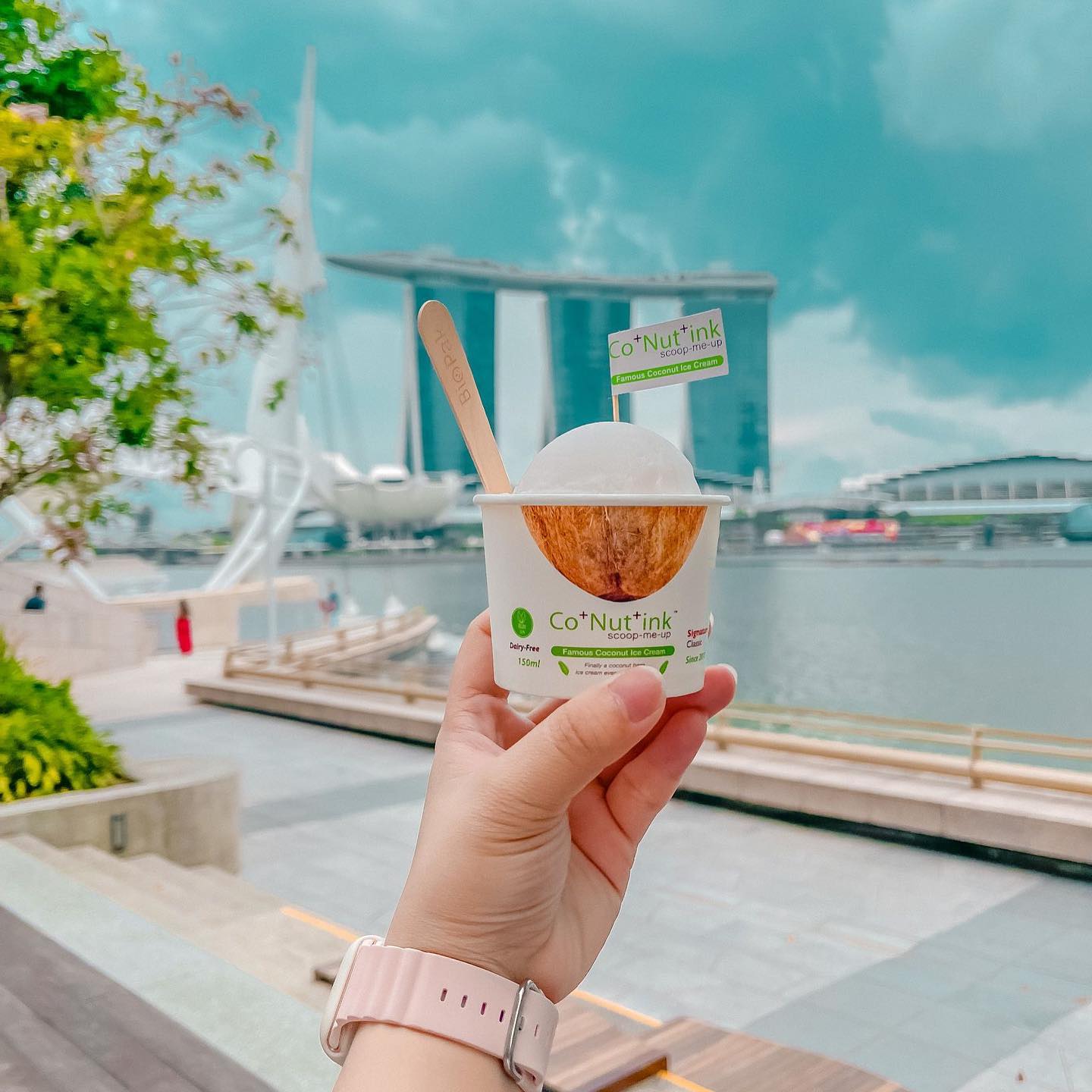 Co Nut Ink Par Investments