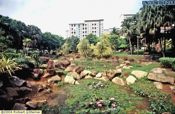 Bishan Park, Rocks