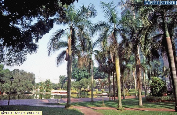 Toa Payoh Town Park, Plantation