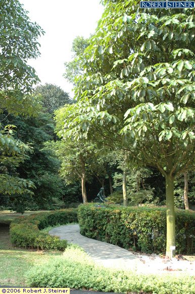 Singapore Botanic Gardens, Girl on a Bicycle -Farview