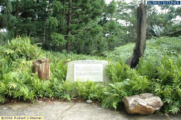 Singapore Botanic Gardens, Trees of Stone